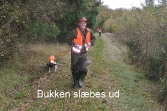buk slæbes ud