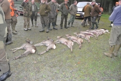 DSC_4092.JPG