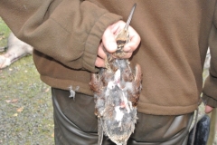 DSC_4110.JPG