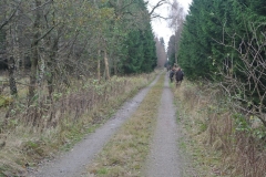 DSC_2722.JPG