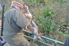 DSC_2607.JPG