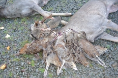 DSC_2635.JPG