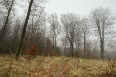 EUXL52531