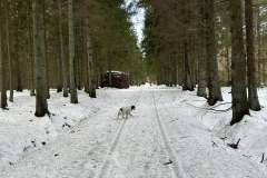 615442169_867555392686715_8966187647721356759_n