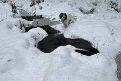 616264636_867555559353365_333995582451718131_n